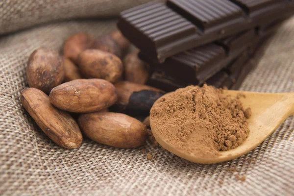 Feijão de cacau com chocolate — Fotografia de Stock