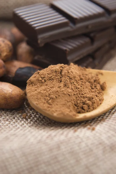 초콜릿을 곁들인 코코아 ( 카카오 ) 콩 — 스톡 사진