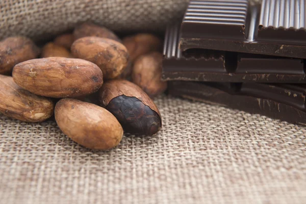 Cacaobonen met chocolade — Stockfoto