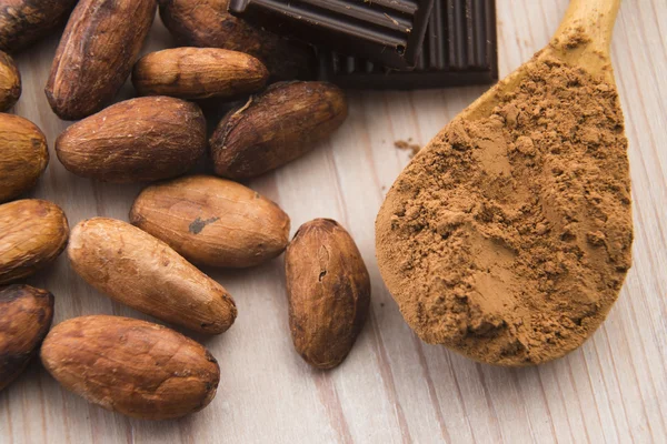 Feijão de cacau com chocolate — Fotografia de Stock