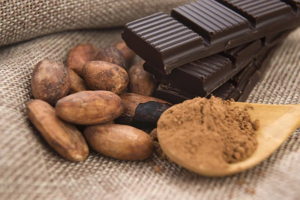Haricots de cacao (cacao) au chocolat — Photo