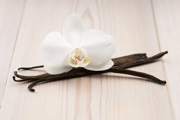 Vanilla pods and flower — Stock Photo, Image