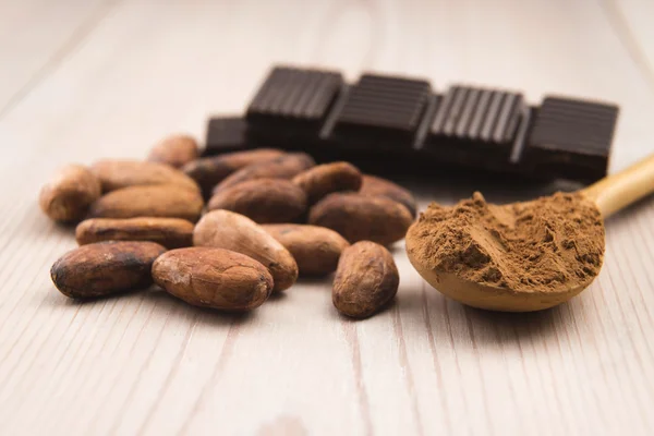 Cacaobonen met chocolade — Stockfoto