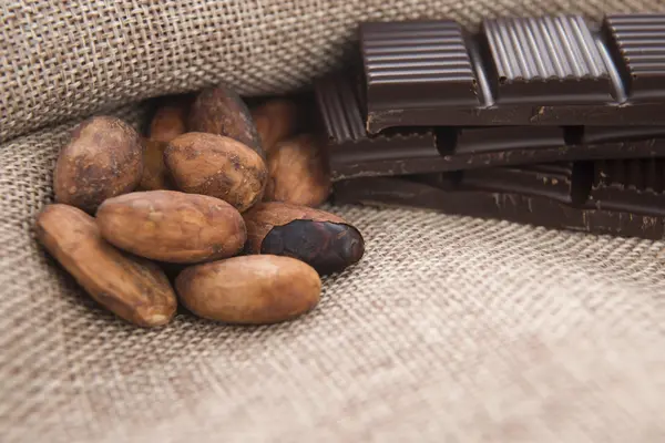 Cacao (cacao) frijoles con chocolate — Foto de Stock