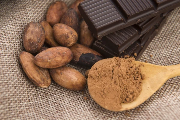 Cacao (cacao) frijoles con chocolate — Foto de Stock