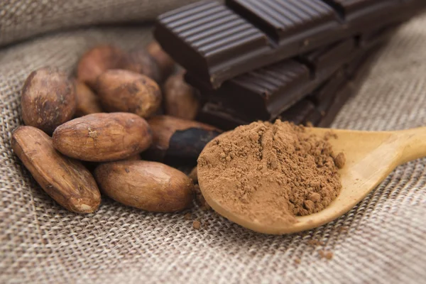 Fagioli di cacao (cacao) con cioccolato — Foto Stock