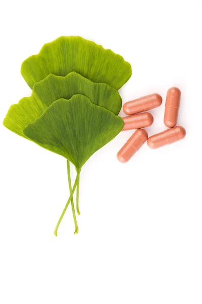 Ginkgo biloba leaves in mortar and pills — Stock Photo, Image