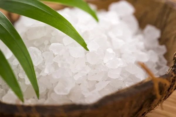 Sea salt with palm leaf — Stock Photo, Image