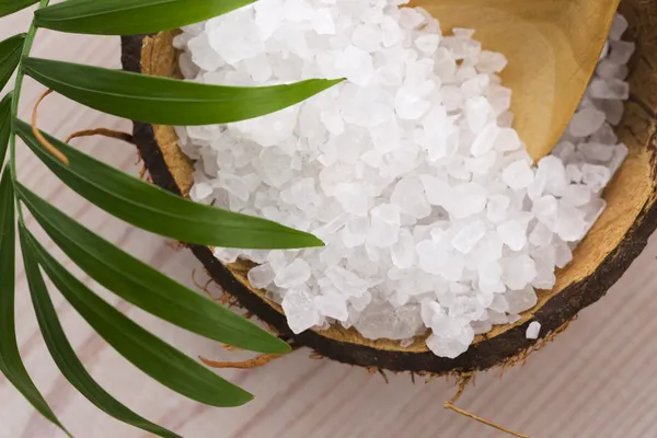 Sea salt with palm leaf — Stock Photo, Image