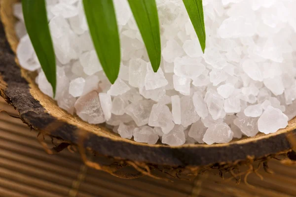Sea salt with palm leaf — Stock Photo, Image