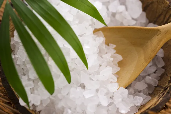 Sal marina con hoja de palma — Foto de Stock