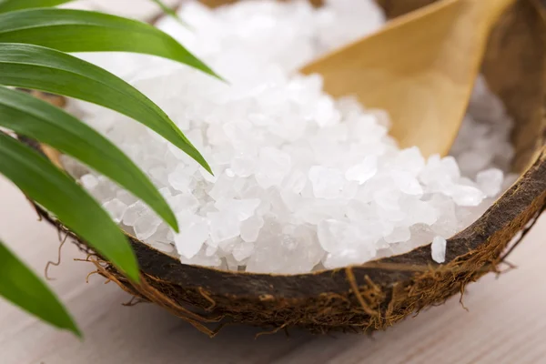 Sea salt with palm leaf — Stock Photo, Image