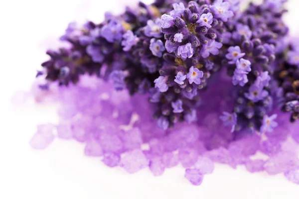 라벤더 꽃과 목욕 소금-뷰티 트리트먼트 — 스톡 사진