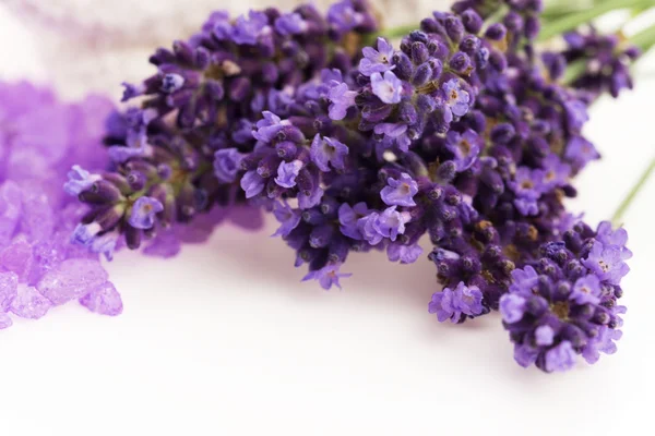 Flores de lavanda e o sal de banho - tratamento de beleza — Fotografia de Stock