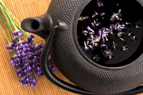 Lavender tea — Stock Photo, Image