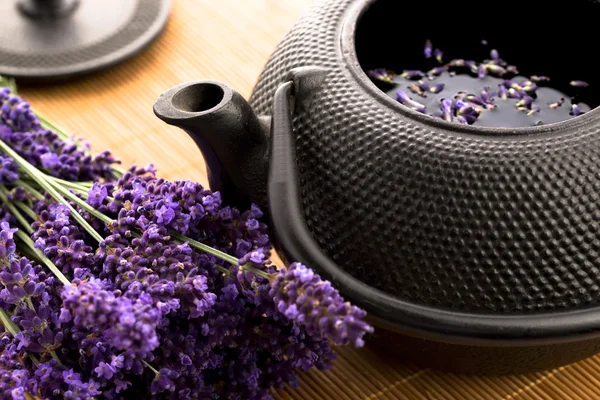 Lavender tea — Stock Photo, Image