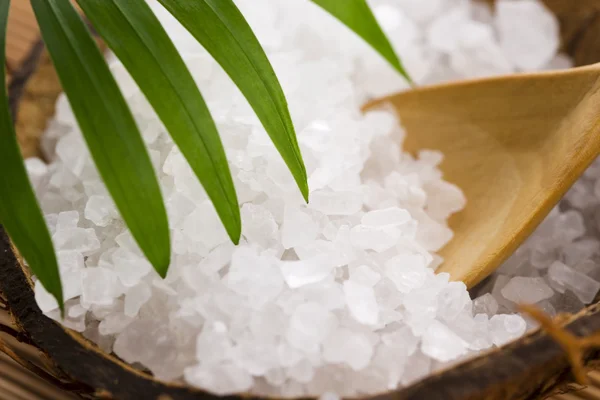 Sea salt with palm leaf — Stock Photo, Image