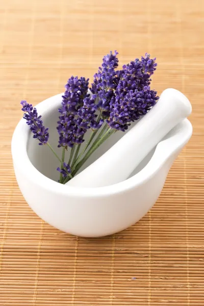 Flores de lavanda em um morteiro — Fotografia de Stock