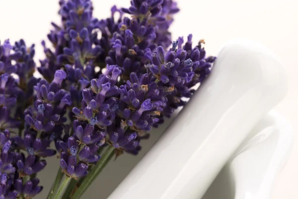 Flores de lavanda em um morteiro — Fotografia de Stock