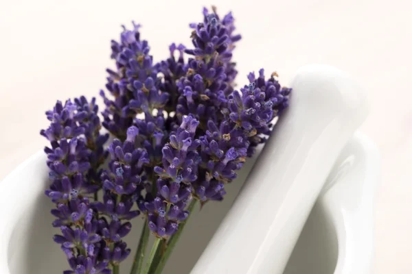 Flores de lavanda em um morteiro — Fotografia de Stock