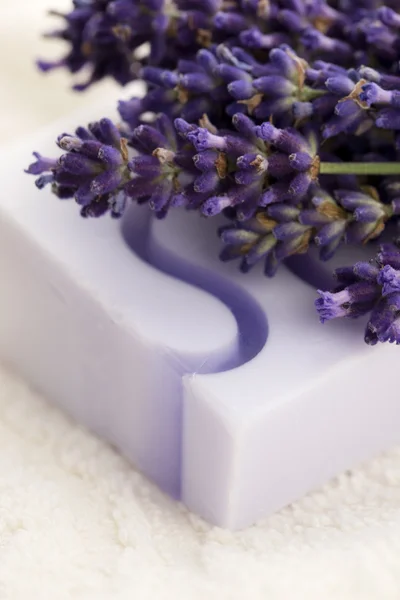 Sztabka naturalnego mydła i kwiatów lawendy — Zdjęcie stockowe
