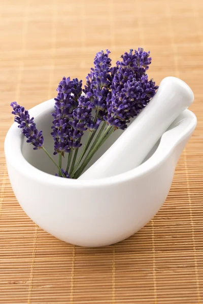 Flores de lavanda em um morteiro — Fotografia de Stock