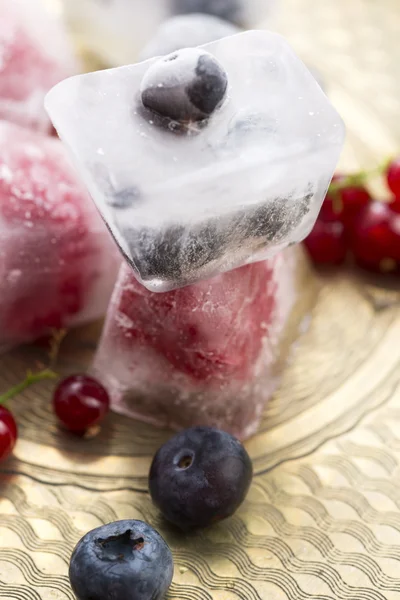 Свіжі ягоди заморожені в кубиках льоду — стокове фото