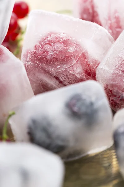 Fresh berry fruits frozen in ice cubes — Stock Photo, Image