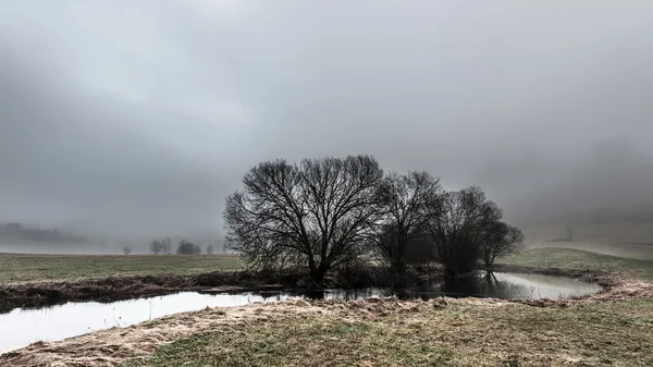 Foggy weather — Stock Photo, Image