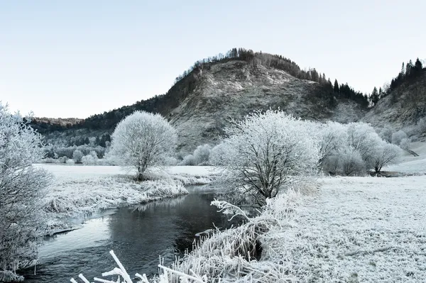Norveç peyzaj