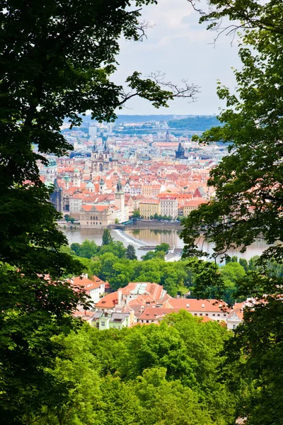 Przez drzewa na wzgórzu petrin — Zdjęcie stockowe