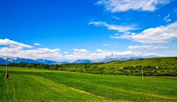 牧草地と山 — ストック写真
