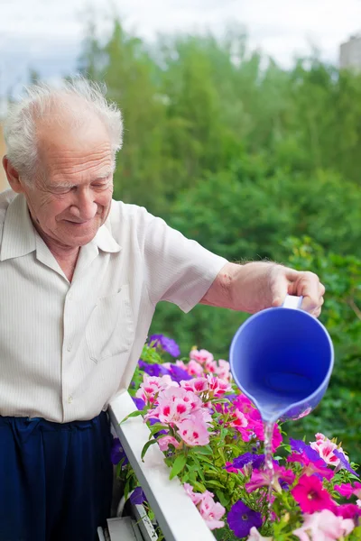 Watering The Flowers — Stock Photo, Image