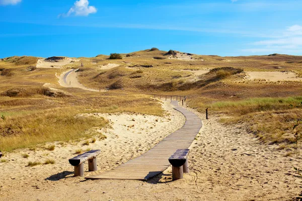 Kurische Nehrung, Litauen — Stockfoto