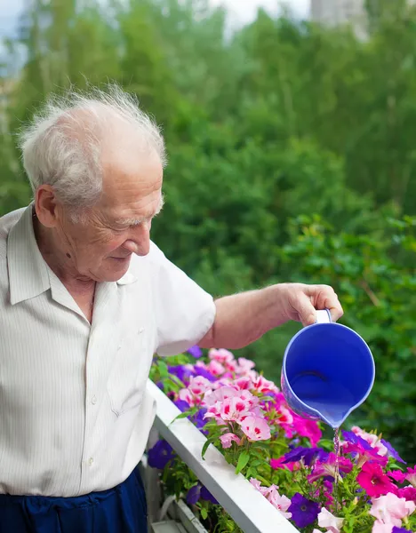 Homme sénior arrosage fleurs — Photo