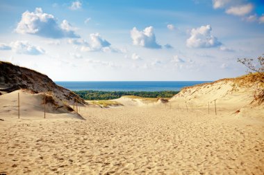 gri dunes adlı curonian spit