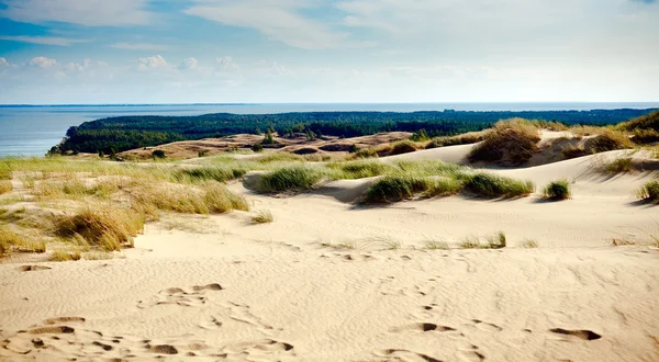 Sandgraue Dünen — Stockfoto