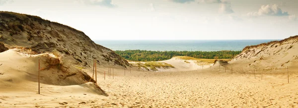 Panoramic View of the Grey Dunes at the Curonian Spit — Stock Photo, Image