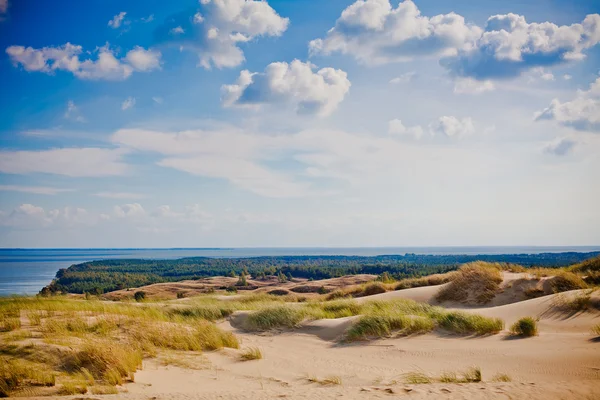 Сірий дюни - Литва — стокове фото