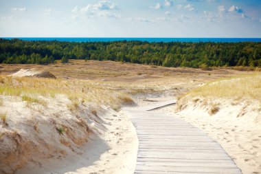 nida uzak olmayan kum tepeleri