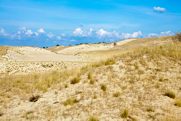 Песчаные дюны и сухая трава — стоковое фото