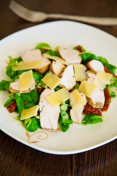 Salada com frango e tomates secos — Fotografia de Stock