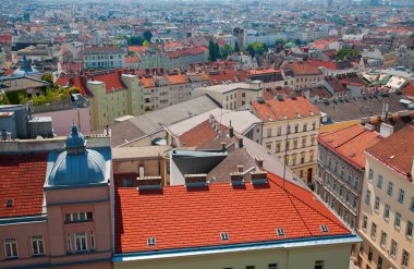 evler ve Viyana yukarıdan çatılar