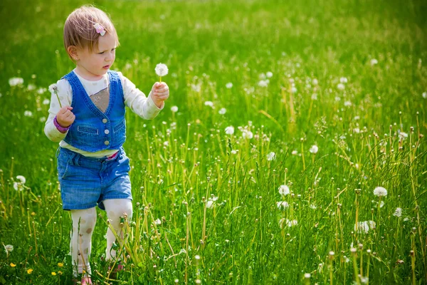 Girl at the dandelion field — Stock Photo, Image