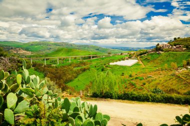 Merkez Sicilya ekilen alanların