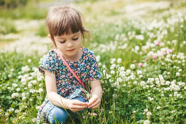 Linda Niña Sentada Campo Trébol Recogiendo Flores Disfrutando Del Verano —  Fotos de Stock