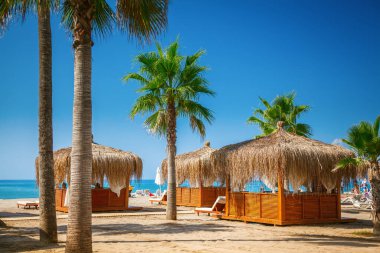 Türkiye 'de sahil köşkleri ve palmiye ağaçları olan güzel bir sahil.