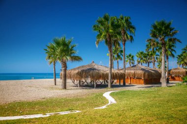 Palmiye ağaçları ve plaj evleriyle güzel bir sahil manzarası.