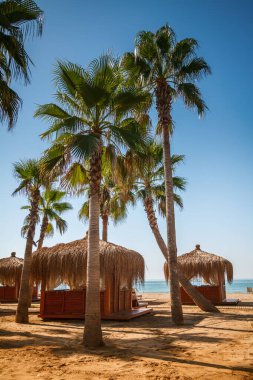 Bir Türk tatil beldesinin plajında yazlık köşkler ve palmiye ağaçları