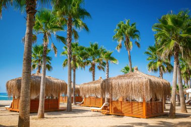 Kıyı evleri - Türk tatil beldesinin plajında bungalovlar ve palmiye ağaçları